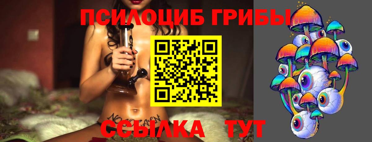 Тулун  Галлюциногенные грибы ЛСД  Вход с VPN 